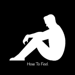 Picture for song 'How To Feel' by artist 'Crazy Tamer'