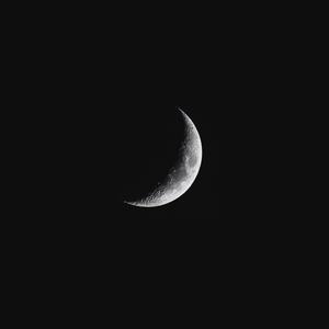 Picture for song 'To The Moon' by artist 'Feelz Beatz'