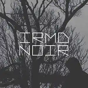 Picture for song 'NOIR (Buy 2 get 2)' by artist 'IRMD'