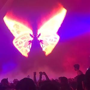 Picture for song 'Dreamer' by artist 'JIKO'