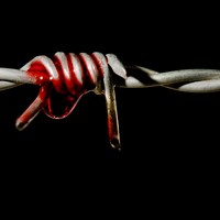 Picture for song 'Home ' by artist 'Josh Carland'