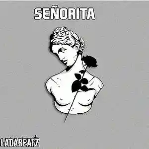 Picture for song 'Señorita' by artist 'LadaBeatZ'
