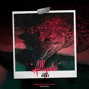 Picture for song 'Drill beat- " Alligator"' by artist 'past panica'