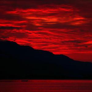 Picture for song 'Red Tint 2' by artist 'prod. enzo'