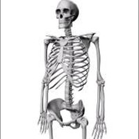 Picture for song 'DARK UNDERGROUND RAP BEAT ($10 LEASE) ' by artist 'PUSSYWHIPPED'