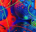 Picture for song 'Morbius' Dream' by artist 'Richard Isgrigg'
