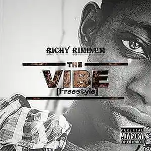 Picture for song 'THE VIBE' by artist 'Richy Riminem'