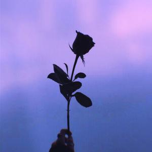 Picture for song 'Pista De Rap Lofi Triste Melancolía' by artist 'Stc Beats VB'