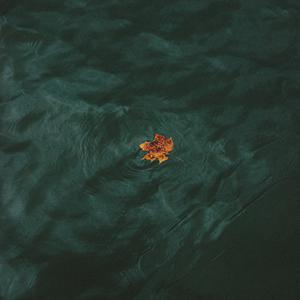 Picture for song 'Water' by artist 'Uno Kaya'