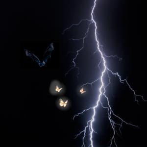 Picture for song '[FREE] Drill beat Pop Smoke X Travis Scott type be' by artist 'wellvicid'