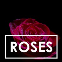 Picture for song '*NEW* ROSES' by artist 'ZEVRST MUSIC'