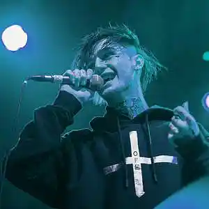 Picture for song 'Bed of roses (Type beat Lil Peep)' by artist '6ideblue'