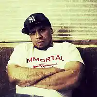 Picture for song 'Castle Wall (Immortal Technique)' by artist 'Beat Splash'