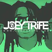 Picture for song '3AM in Beirut' by artist 'Joey Trife'