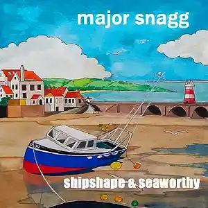 Picture for song 'Because I Love You' by artist 'Major Snagg'