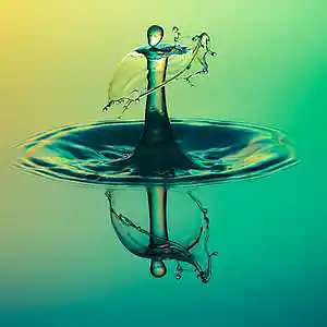 Picture for song 'Aquatic Moment' by artist 'Komar NeJanko'