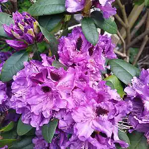 Picture for song 'Dark Movie 4 (Long Version)' by artist 'Restsound'