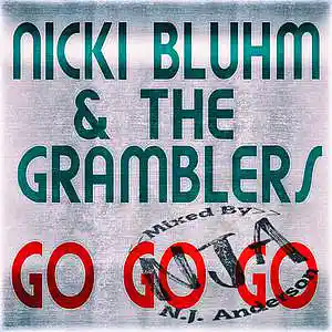 Picture for song 'Live TF Nicki Bluhm & The Gramblers GoGoGo mixed b' by artist 'Songs Mixed By NJ Anderson'