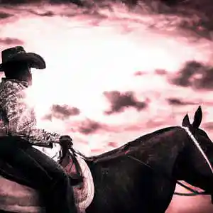 Picture for song 'Wild West' by artist 'x2j'