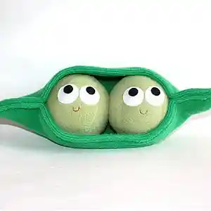 Picture for song 'Gospel Anthem' by artist '66books'