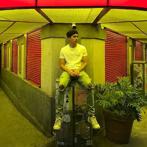 Artist picture