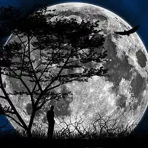 Picture for song 'Moon Child' by artist 'Electron Planet'
