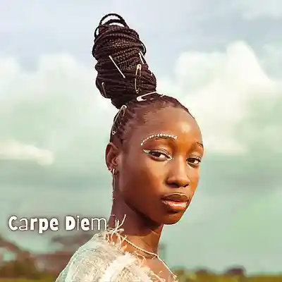 Picture for song '"Carpe Diem" Afrobeat instrumental 2026' by artist 'Kellobeats'