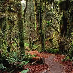 Picture for song 'LeMinhMan.com & DJ Shaw T - Neo Lights' by artist 'leminhman'