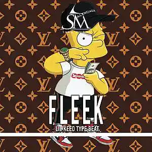 Picture for song 'Fleek' by artist 'SeanMurdz'
