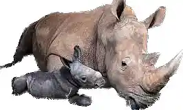 Picture for song 'You Stupid Fvcks! Think For Yourself!' by artist 'Sex Slave Driven'