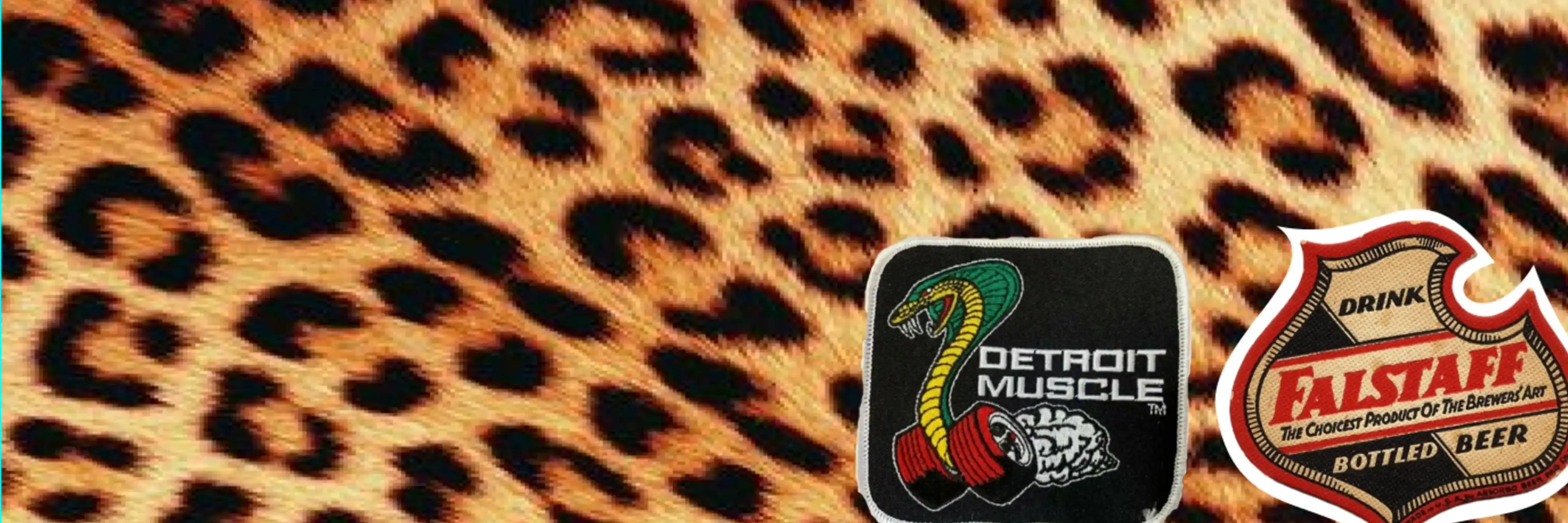 cover pic