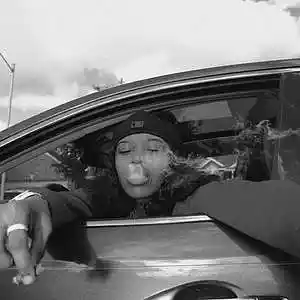 Picture for song 'Kaash Paige Type Beat - Winter Rose' by artist 'Brentin Davis Beats'