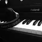Picture for song 'HipHop Piano Beat (Prod. B Steeze)' by artist 'B STEEZE BEATS'