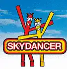 Picture for song 'Skydancer' by artist 'imro'