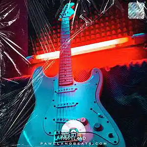 Picture for song 'SUMMERTIME - (Guitar Beat, Guitar Pop Type Beat)' by artist 'Paweland Beats'