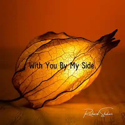 Picture for song 'With You By My Side' by artist 'Richard Shekari'
