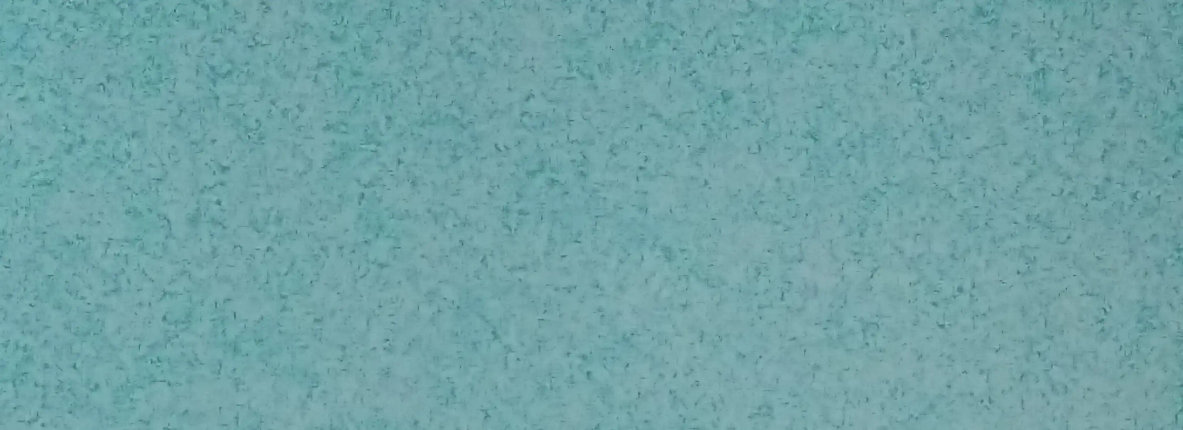 cover pic