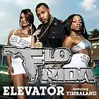 Picture for song 'Elevator Part 2!!!!! Flo-Rida & Timbo At It Again!' by artist 'ayodrayday'