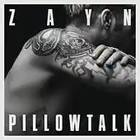 Picture for song 'Trouble In Paradise-Zayn Pillow Talk Type #1 HIT!' by artist 'BachBeats Official'