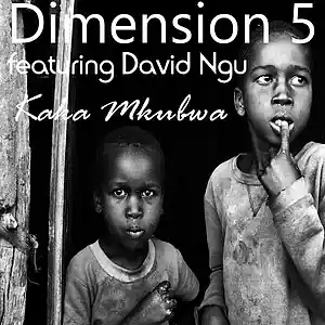 Picture for song 'Kaka Mkubwa ft David Ngu' by artist 'Dimension 5'