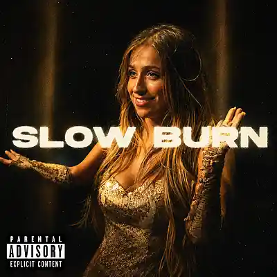 Picture for song 'Slow Burn (200$ exclusive Limited time only)' by artist 'Kick beatz'