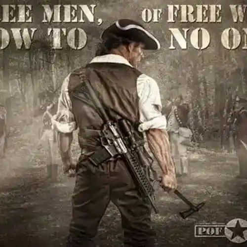 Picture for song 'I believe in the constitution' by artist 'Patriot Music network LLC'