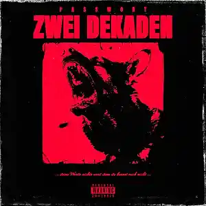 Picture for song 'Zwei Dekaden' by artist 'PASSWORT 13-8'