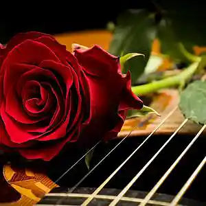 Picture for song 'La Guitarra' by artist 'Philosopha Beats'