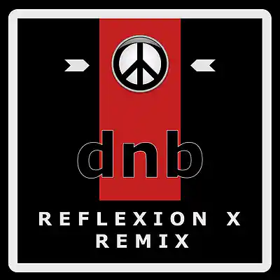 Picture for song 'Window (Reflexion X Remix)' by artist 'Reflexion X'