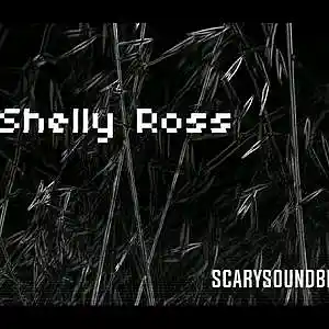 Picture for song 'Shelley Ross' by artist 'ScarySoundBeatz'