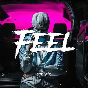 Picture for song 'Feel - Central Cee x ArrDee Type Beat 2023' by artist 'SG Beatz'