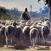 Picture for song '180422 Sheep and Shepherd' by artist 'St Johns Church Sermons'