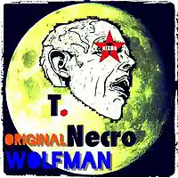 Picture for song 'Original Wolfman' by artist 'Turtle Necromancer'