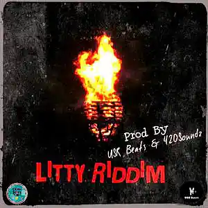Picture for song 'Litty Riddim' by artist 'USR Beats'